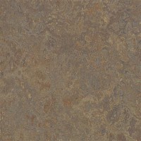 3426 Cork Tree Vivace